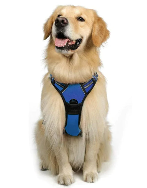 Load image into Gallery viewer, Chest And Back Breathable Reflective Dog Vest
