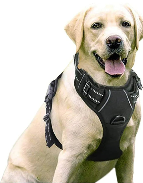 Load image into Gallery viewer, Chest And Back Breathable Reflective Dog Vest
