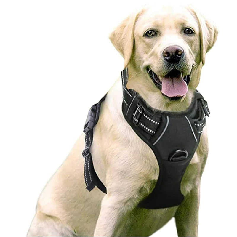 Chest And Back Breathable Reflective Dog Vest