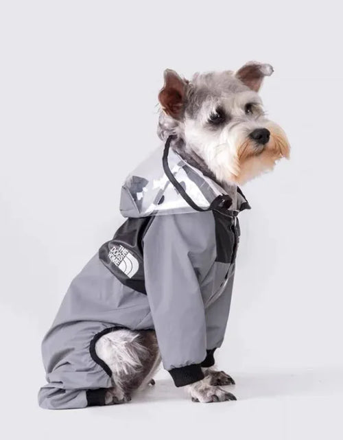 Load image into Gallery viewer, Paw Chic Personalized Raincoat
