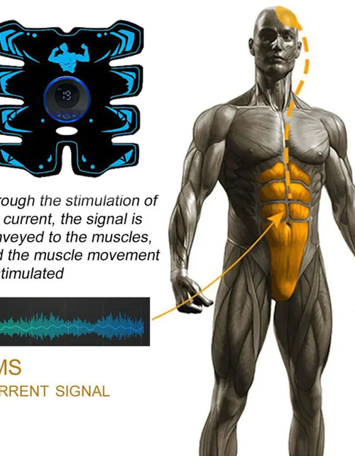 Load image into Gallery viewer, EMS8 Abdominal Muscle Trainer
