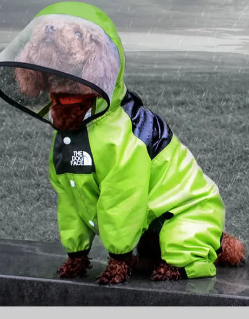 Load image into Gallery viewer, Paw Chic Personalized Raincoat
