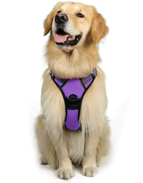 Load image into Gallery viewer, Chest And Back Breathable Reflective Dog Vest
