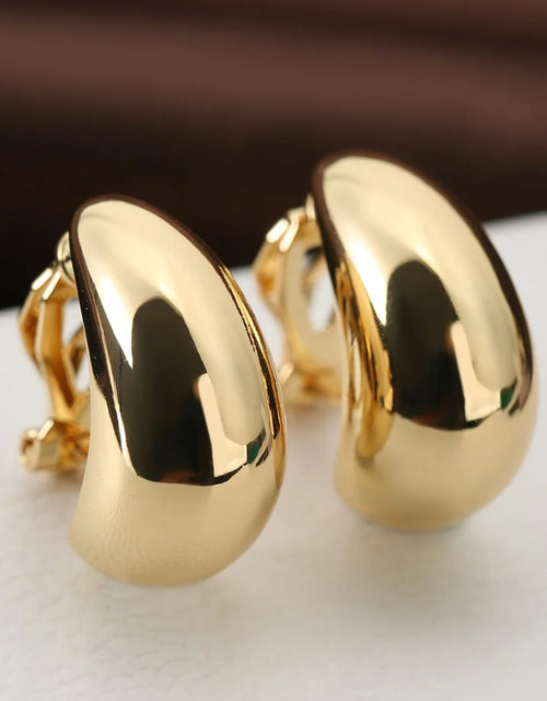 Load image into Gallery viewer, Earrings French Entry Lux Drop-shaped
