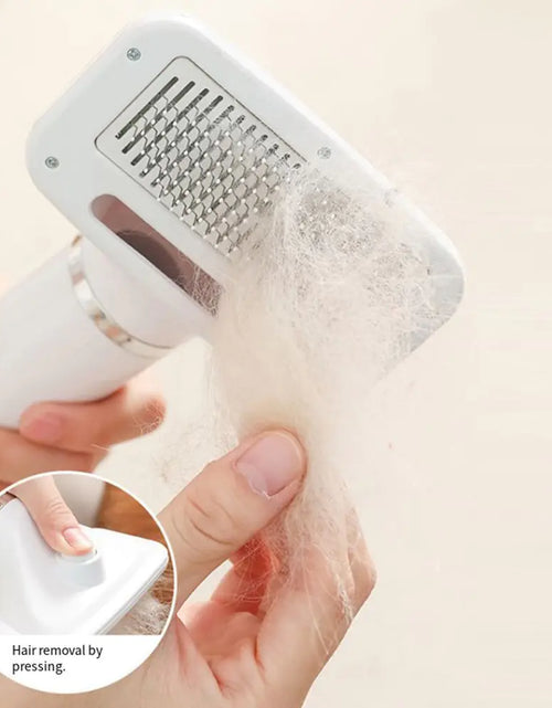 Load image into Gallery viewer, Portable 2-in-1 Dog Hair Dryer
