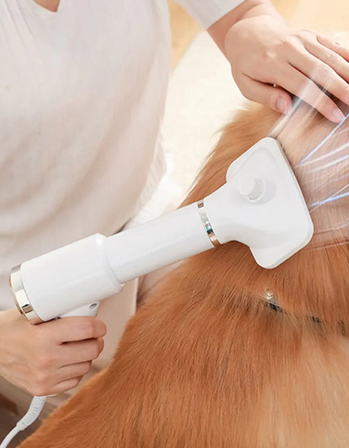 Load image into Gallery viewer, Portable 2-in-1 Dog Hair Dryer
